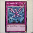 Dragon's Bind
