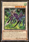 Dragon Master Knight