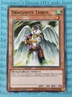 Dragunity Tribus