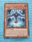 Egotistical Ape
