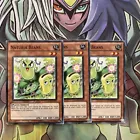 Naturia Beans