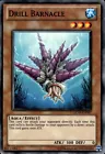 Drill Barnacle