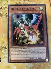 Droll & Lock Bird