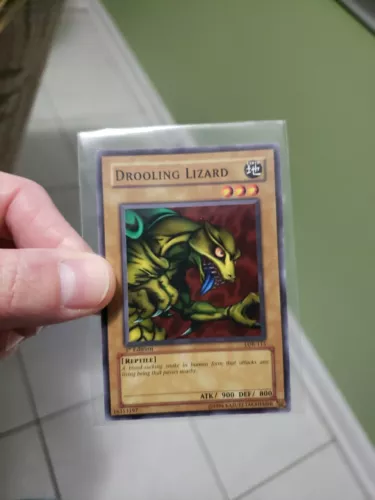 Drooling Lizard