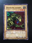Drooling Lizard