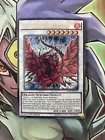 Black Rose Dragon