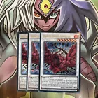 Black Rose Dragon