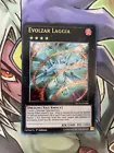 Evolzar Laggia