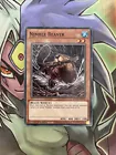 Nimble Beaver