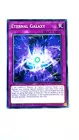Eternal Galaxy