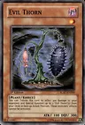 Evil Thorn