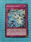 Evo-Singularity
