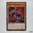 Evoltile Megachirella