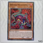 Evoltile Megachirella