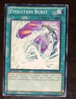 Evolution Burst