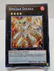 Evolzar Dolkka