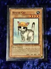 Rescue Cat