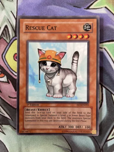 Rescue Cat