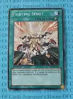 Fighting Spirit