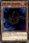Fire Ant Ascator