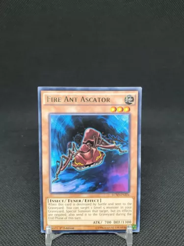 Fire Ant Ascator