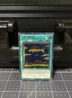 Fish Sonar