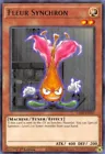 Fleur Synchron