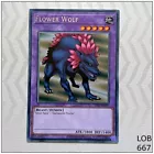 Flower Wolf