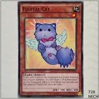 Fluffal Cat