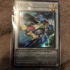 Formula Synchron