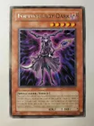 Fortune Lady Dark