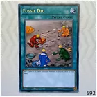 Fossil Dig