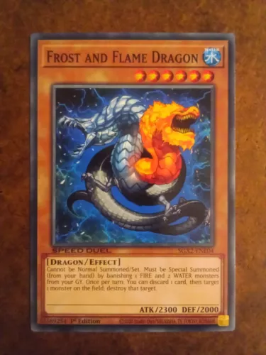 Frost and Flame Dragon