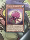 Fluffal Octopus