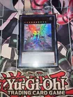 Galaxy-Eyes Cipher X Dragon