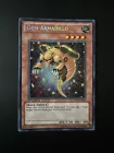 Gem-Armadillo