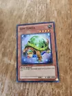 Gem-Turtle