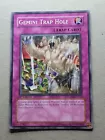 Gemini Trap Hole