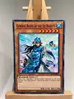 General Raiho of the Ice Barrier