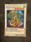 Orient Dragon