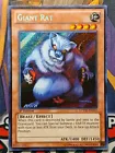 Giant Rat