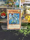 Gladiator Beast Secutor