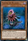 Glow-Up Bloom