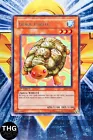 Gora Turtle