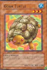 Gora Turtle