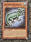 Graydle Alligator