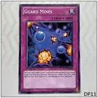 Card Guard