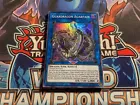 Guardragon Agarpain