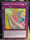 Harpie's Feather Storm