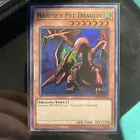 Harpie's Pet Dragon